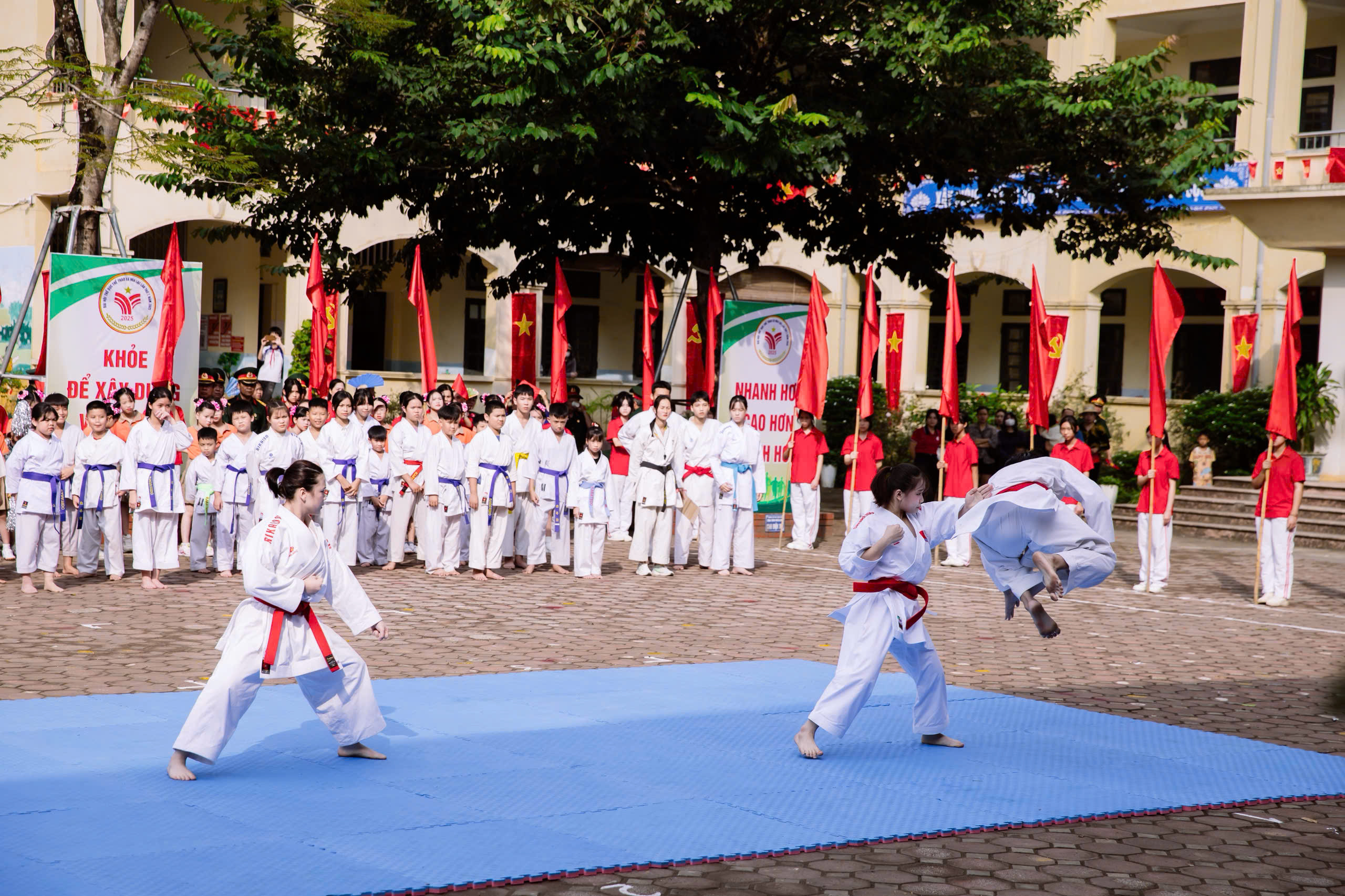 Kỷ luật thép