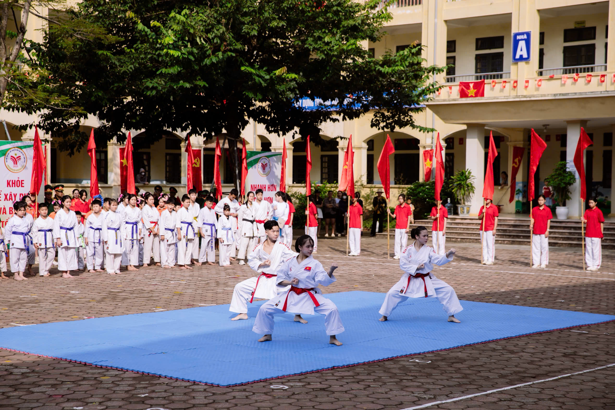 Ươm mầm tài năng