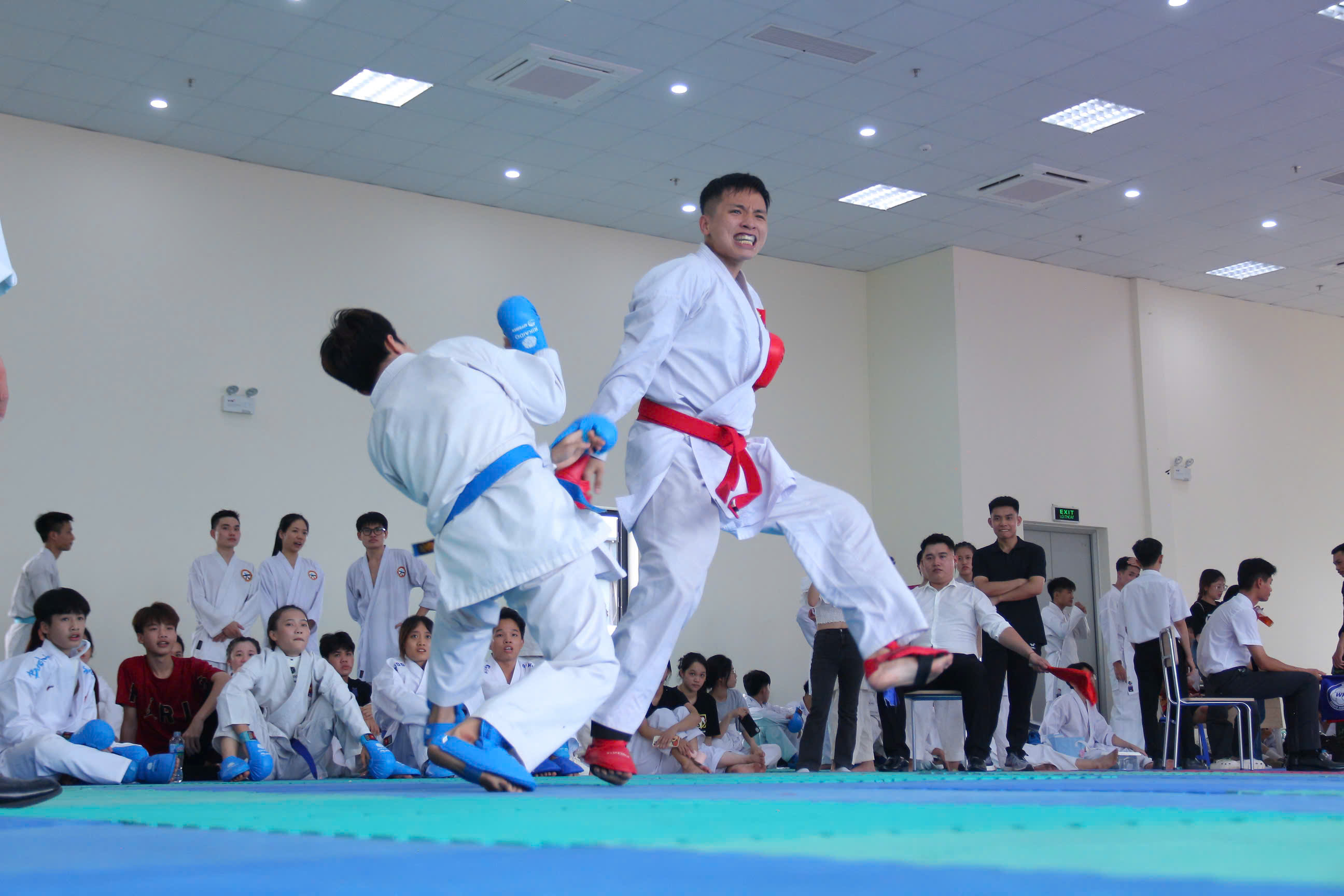 Đối kháng mạnh mẽ